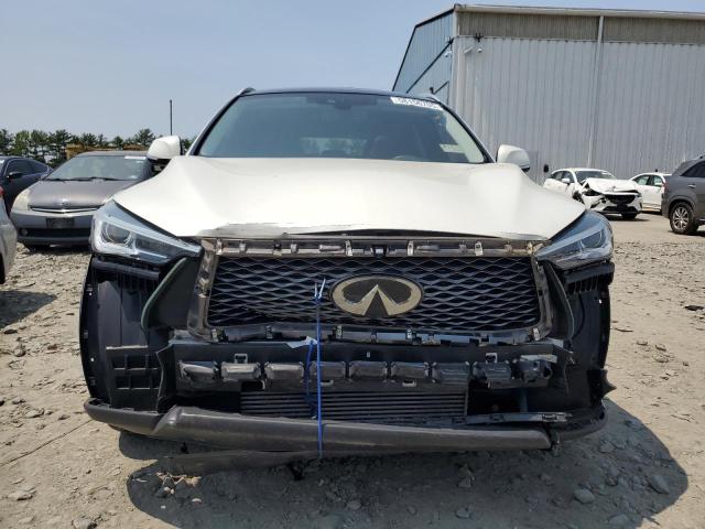 2019 INFINITI QX50 ESSEN 3PCAJ5M3XKF117589