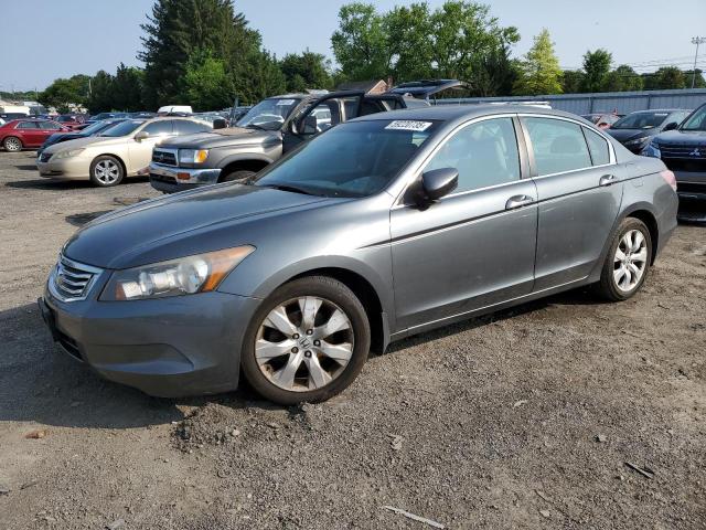 Vin: 1hgcp2f83aa042838, lot: 59220735, honda accord exl 2010 img_1