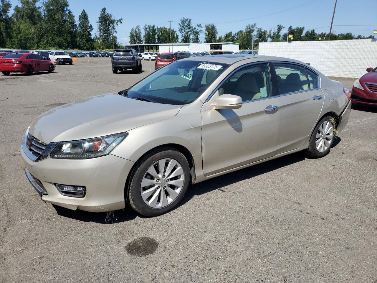 HONDA ACCORD EXL