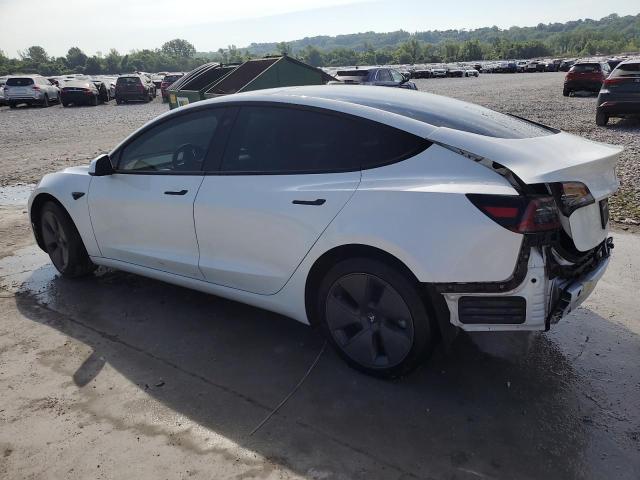 2023 TESLA MODEL 3 5YJ3E1EA9PF466141