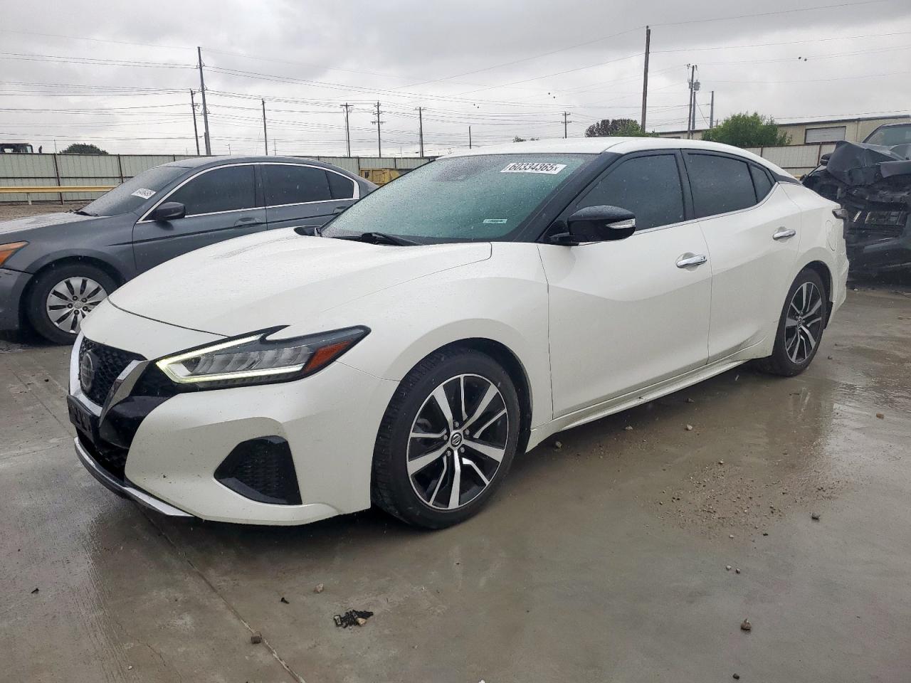 NISSAN MAXIMA SV