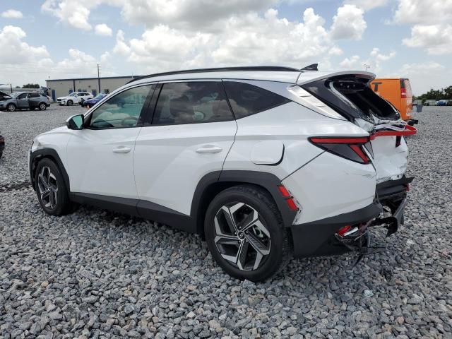 Vin: 5nmje3de8rh321407, lot: 60715295, hyundai tucson limited 20242
