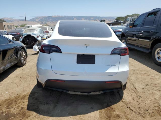 2023 TESLA MODEL Y - 7SAYGDEE0PF813072