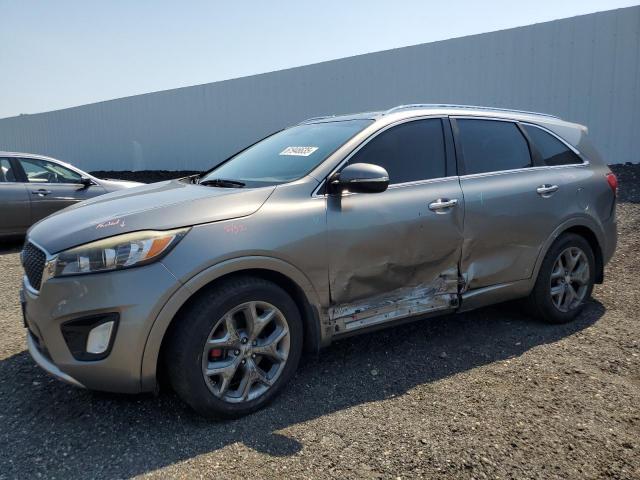 Vin: 5xypkda55gg103493, lot: 61946635, kia sorento sx 2016 img_1