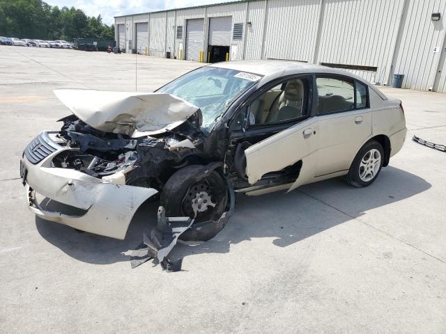 SATURN ION LEVEL