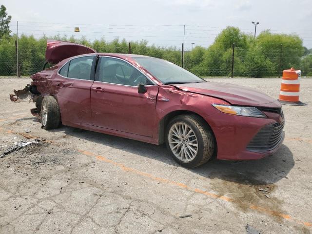 2019 TOYOTA CAMRY HYBR - 4T1B21HK3KU518626