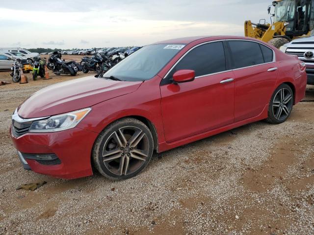 HONDA ACCORD SPO