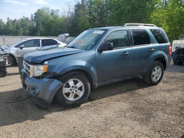 Vin: 1fmcu0dg4cka00662, lot: 60031145, ford escape xlt 2012 img_1