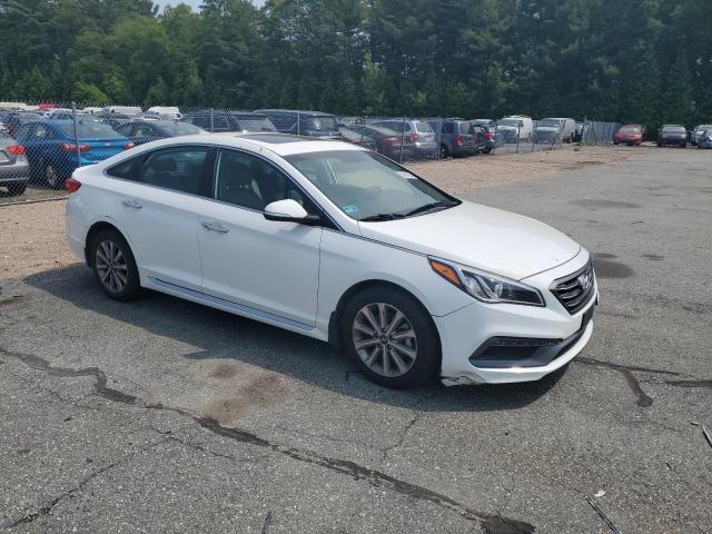 2016 HYUNDAI SONATA SPO 5NPE34AF4GH412782
