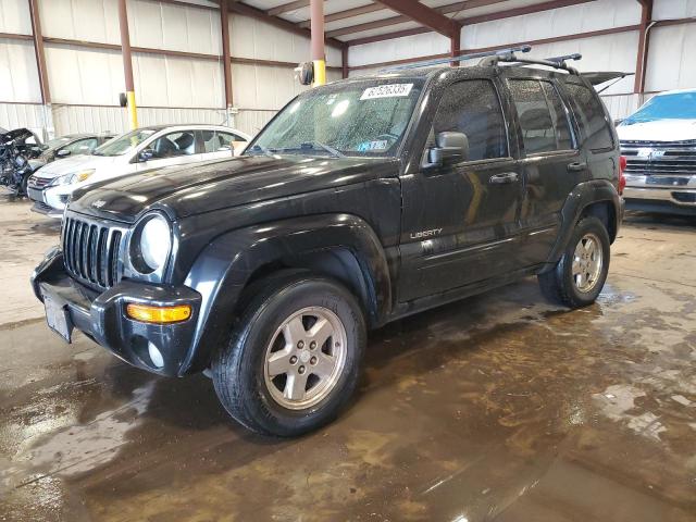 JEEP LIBERTY LI