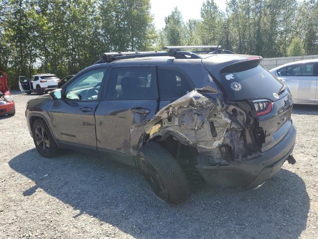 2019 JEEP CHEROKEE L 1C4PJMLX4KD389944