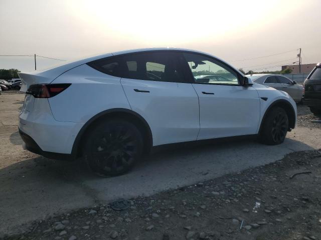 Vin: 5yjygdee4mf084454, lot: 59140455, tesla model y 20213