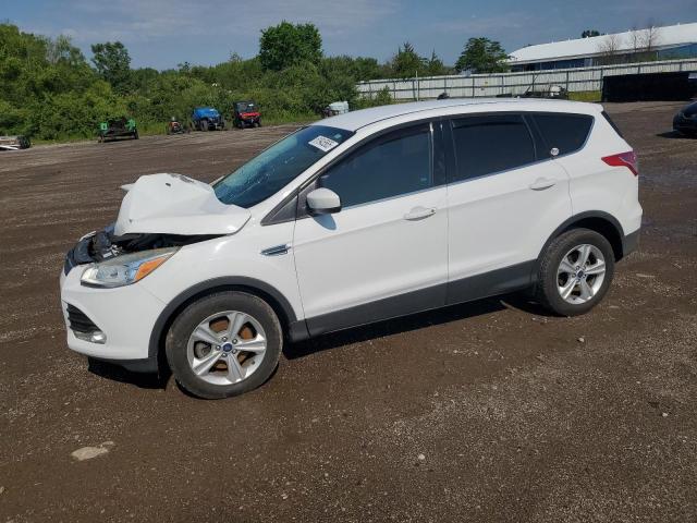 2014 FORD ESCAPE SE - 1FMCU0G92EUD32474