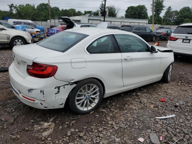 2016 BMW 228 XI SUL WBA1G9C53GV599188