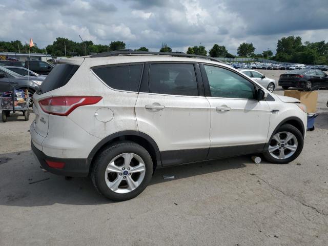 2014 FORD ESCAPE - 1FMCU0GX4EUB45820