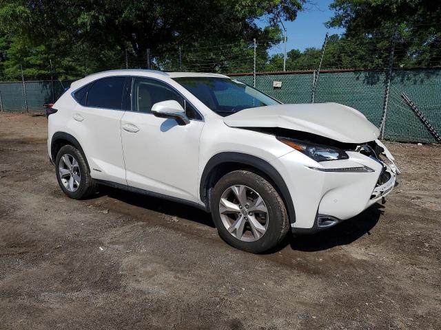 2017 LEXUS NX 300H - JTJBJRBZ9H2071264