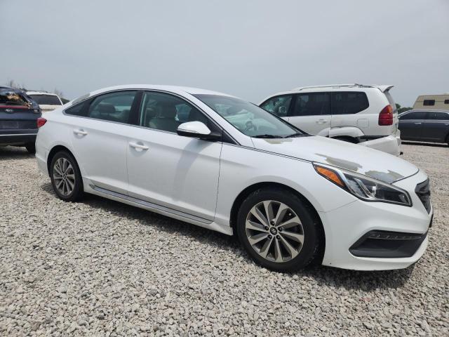 2016 HYUNDAI SONATA SPO - 5NPE34AF1GH329598