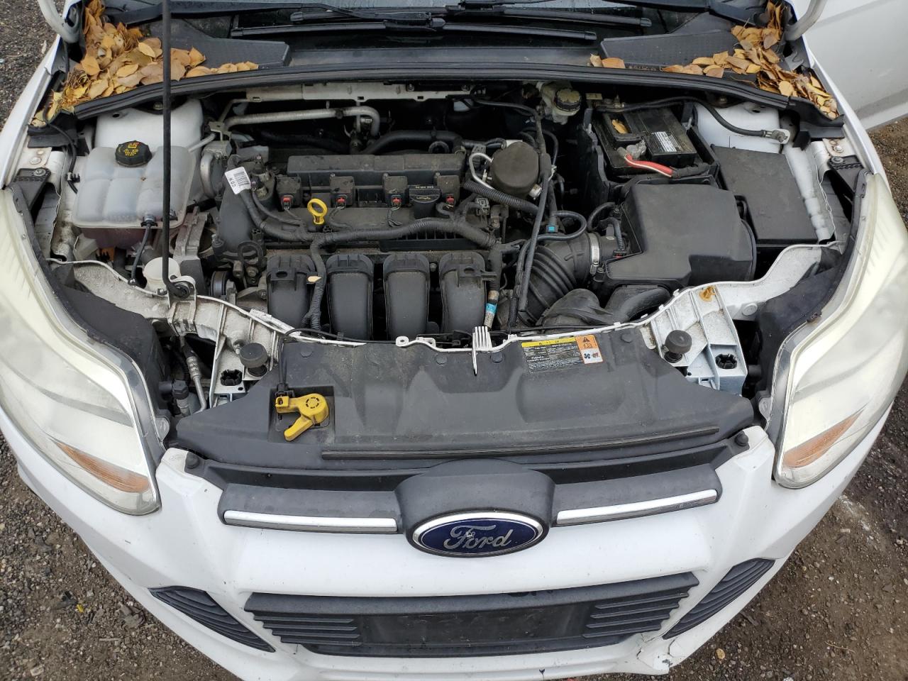 Lot #3187530281 2014 FORD FOCUS SE