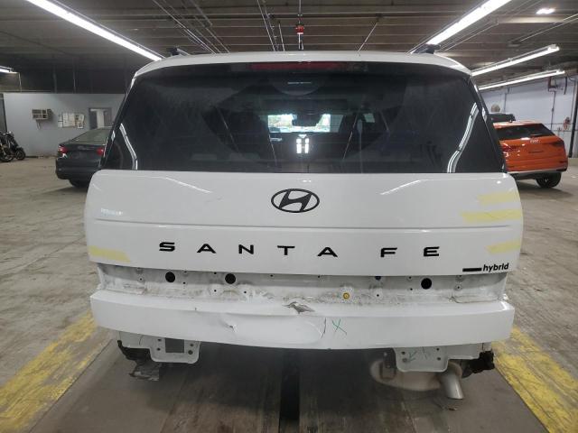 2025 HYUNDAI SANTA FE C 5NMP5DG1XSH017431