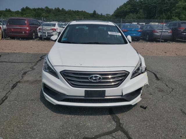 2016 HYUNDAI SONATA SPO 5NPE34AF4GH412782