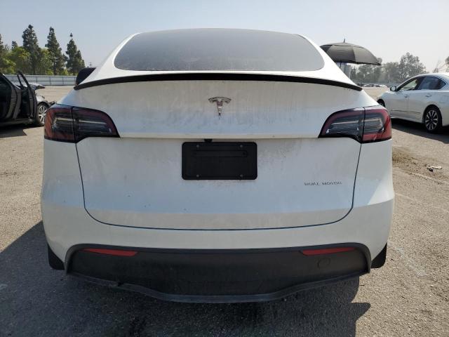 2024 TESLA MODEL Y 7SAYGDEE1RF124922