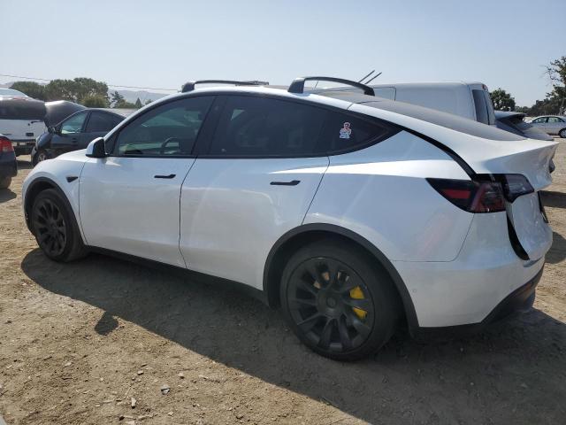 2021 TESLA MODEL Y - 5YJYGDEE4MF152686