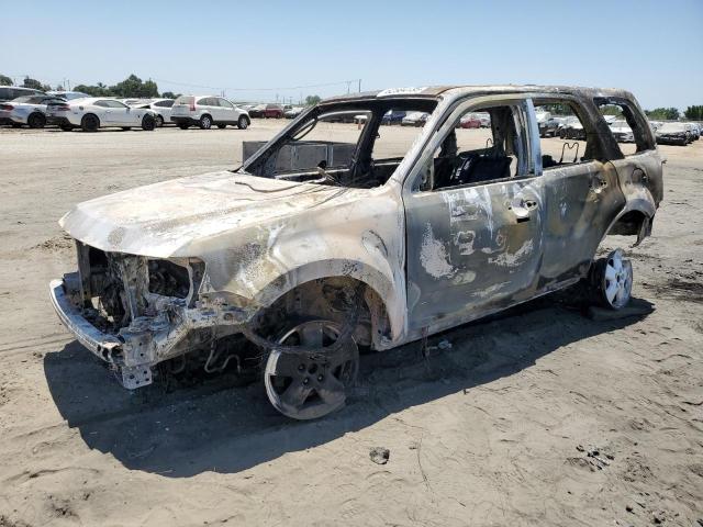 2010 FORD ESCAPE XLT - 1FMCU0DG2AKB54249