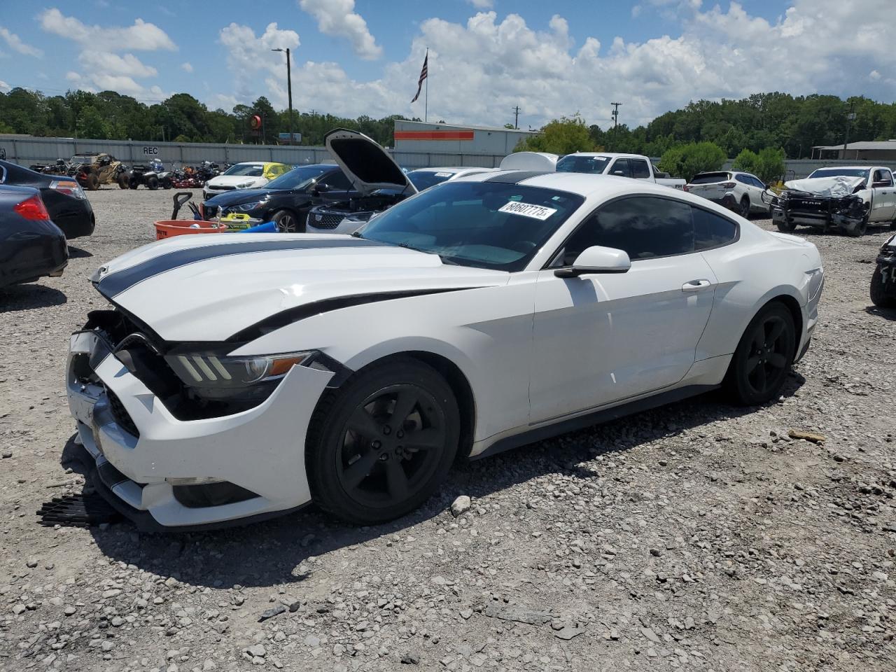 FORD MUSTANG