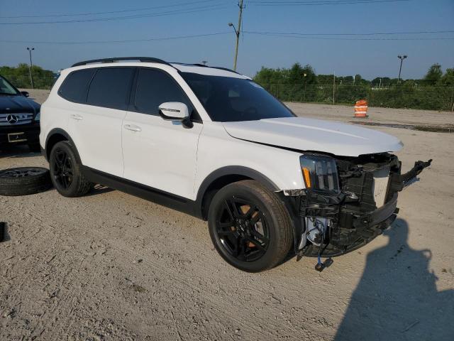 2024 KIA TELLURIDE - 5XYP5DGCXRG550255