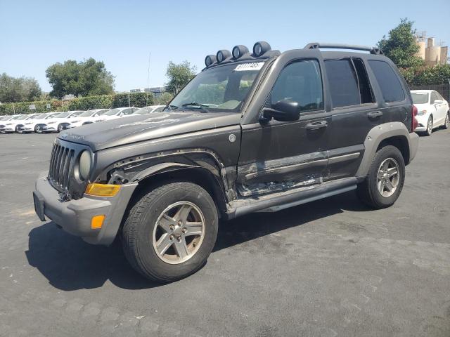 JEEP LIBERTY RE 2006 brown  gas 1J4GL38KX6W146225 photo #1