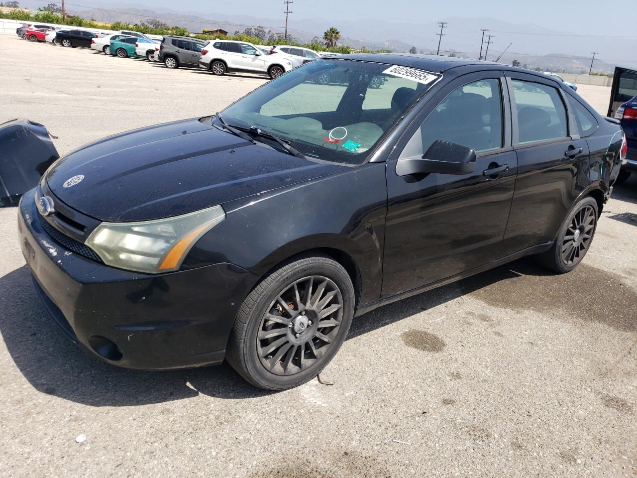 FORD FOCUS SES