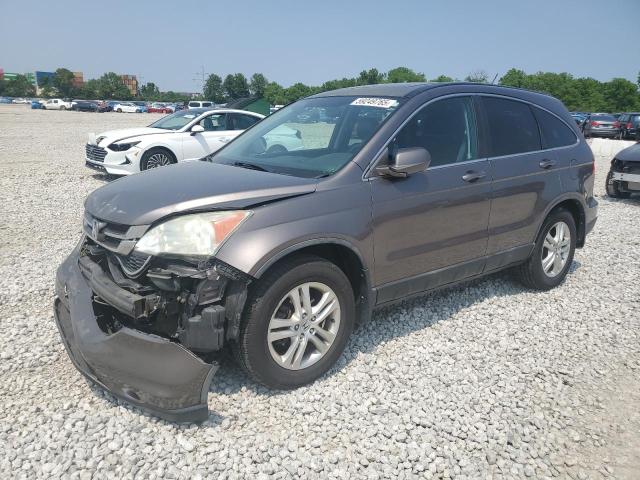 Vin: 5j6re4h78al078926, lot: 59249765, honda crv exl 2010 img_1