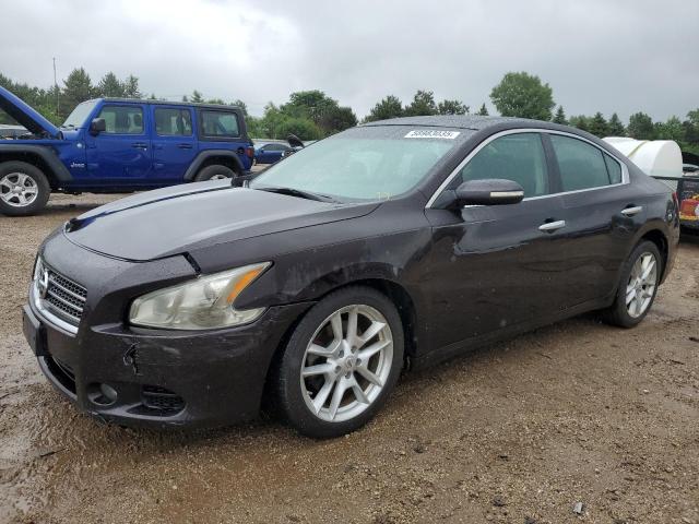 Vin: 1n4aa5ap6ac805386, lot: 58983035, nissan maxima s 2010 img_1