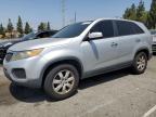 Top Destinations for Shipping Cars from the USA