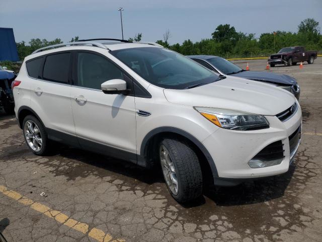 2015 FORD ESCAPE TIT - 1FMCU9J95FUC87156