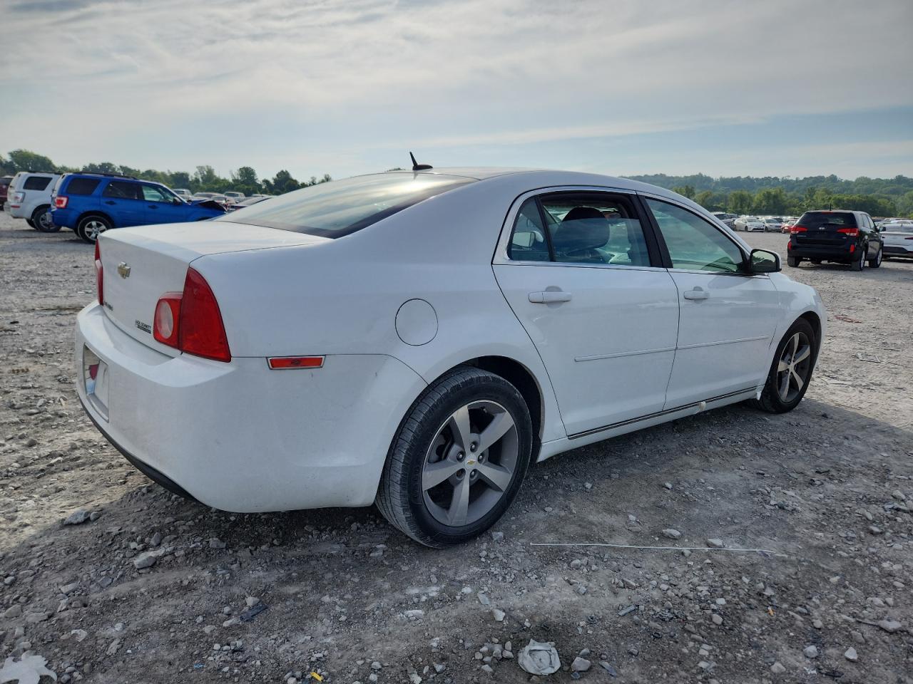 CHEVROLET MALIBU 1LT