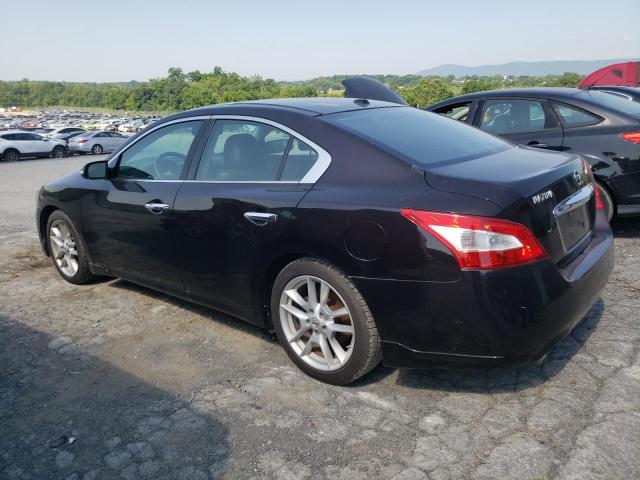 Vin: 1n4aa5ap1ac868217, lot: 61714995, nissan maxima s 20102