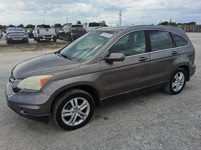 HONDA CR-V EXL 2010 gray  gas 5J6RE4H70AL031812 photo #1