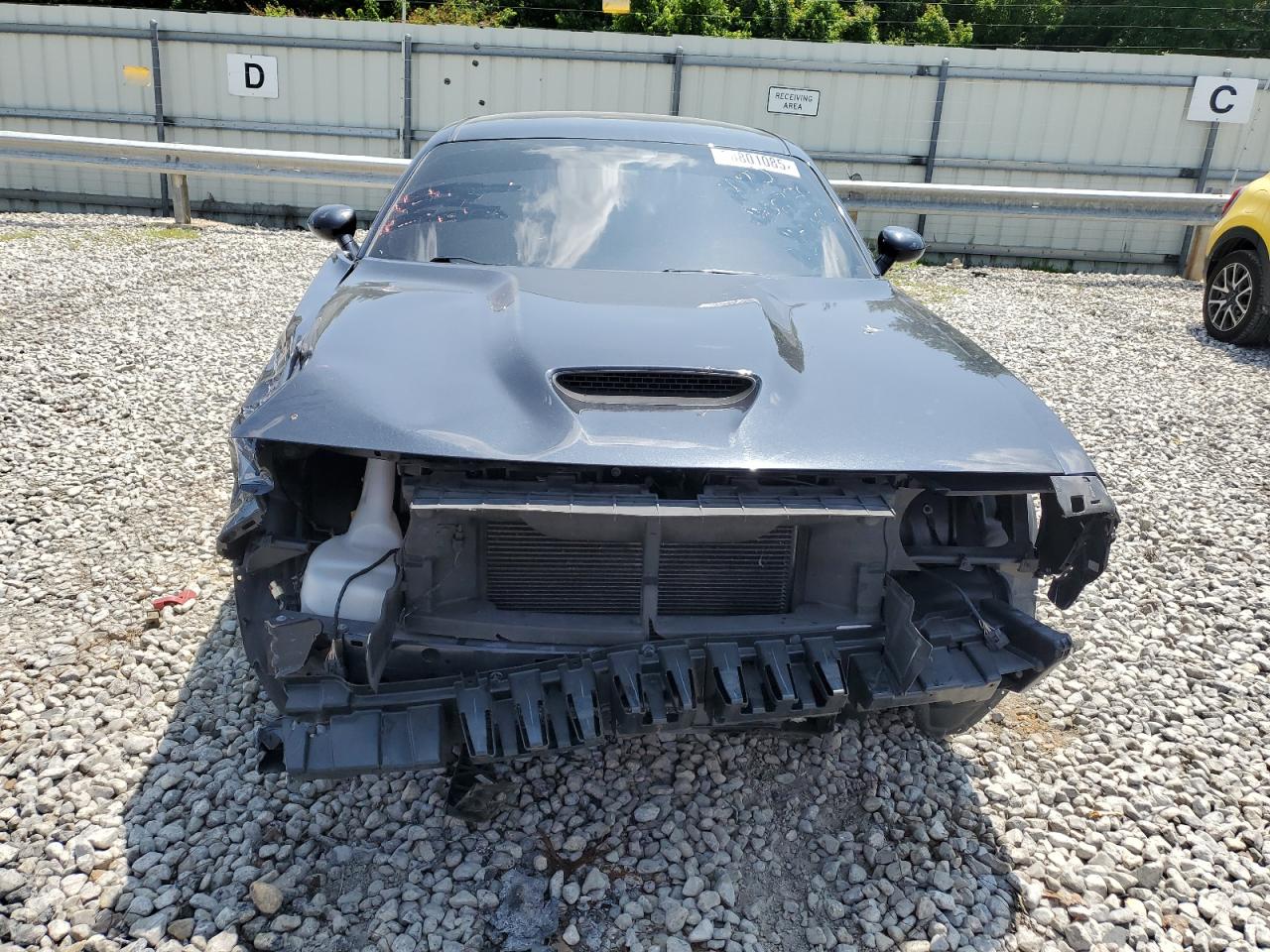 Dodge Challenger 2019