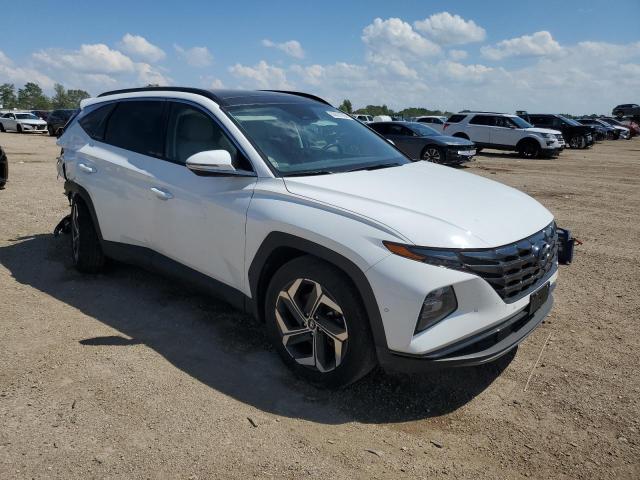 2023 HYUNDAI TUCSON LIM - 5NMJE3AE4PH251762