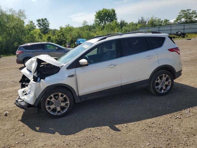 Vin: 1fmcu0hx4dua84806, lot: 62593805, ford escape sel 2013 img_1
