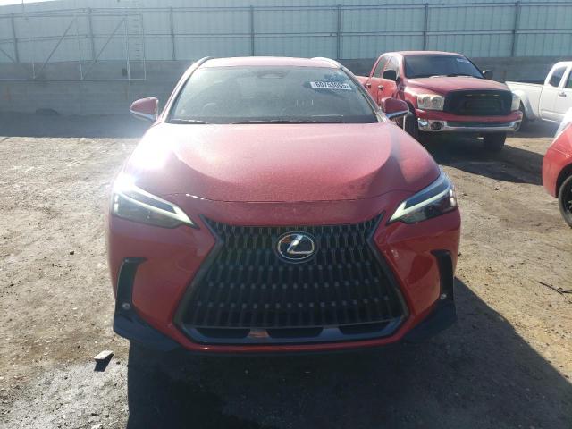 2023 LEXUS NX 250 - JTJADCAZXP2007217