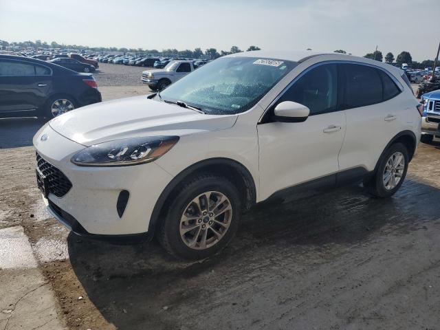 Vin: 1fmcu9g64mua39748, lot: 62553105, ford escape se 2021 img_1