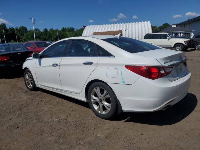 2011 HYUNDAI SONATA SE - 5NPEC4AB1BH303783
