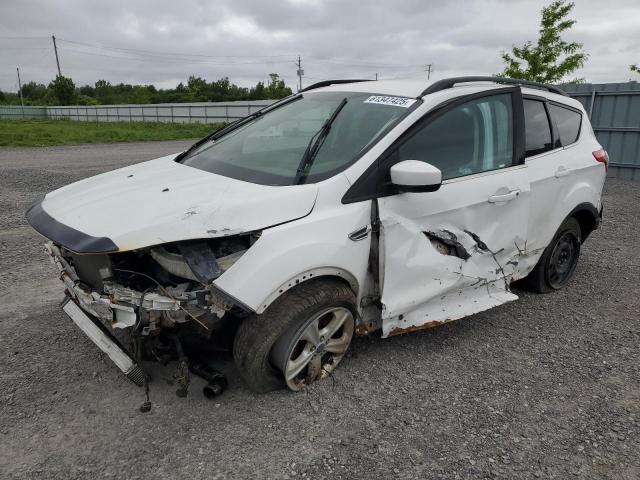 2014 FORD ESCAPE SE - 1FMCU0G96EUC61831