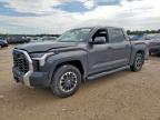 2024 TOYOTA TUNDRA CRE - 5TFLA5AB0RX032393