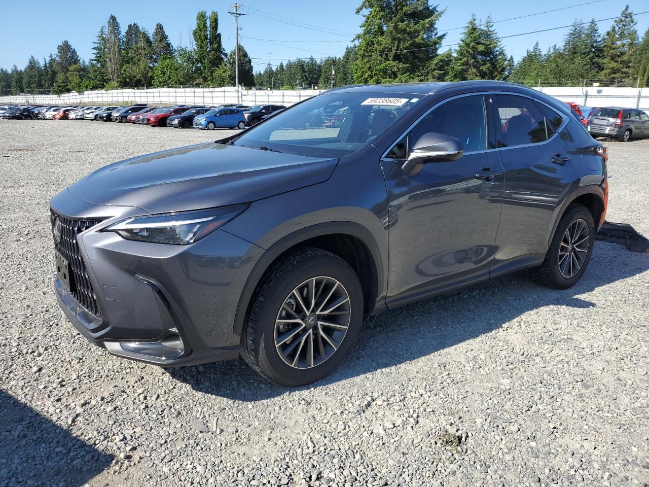 LEXUS NX 350 BASE