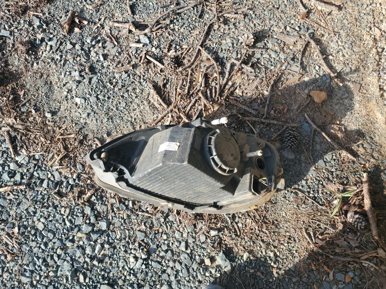 Lot #3217038019 2019 FREIGHTLINER M2 106 MED