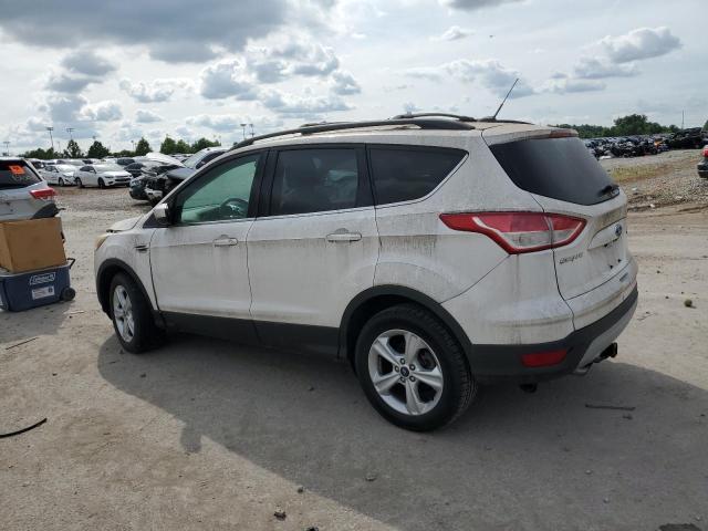 2014 FORD ESCAPE - 1FMCU0GX4EUB45820