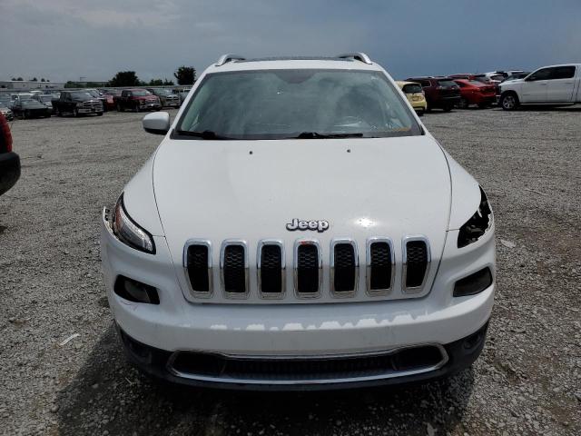 2016 JEEP CHEROKEE L 1C4PJLDB9GW138376